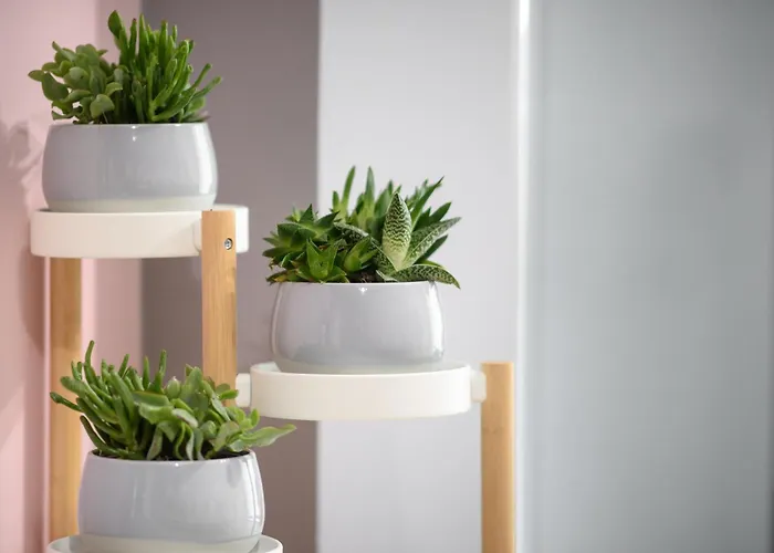 Azura 3 Bedroom Lejlighed *